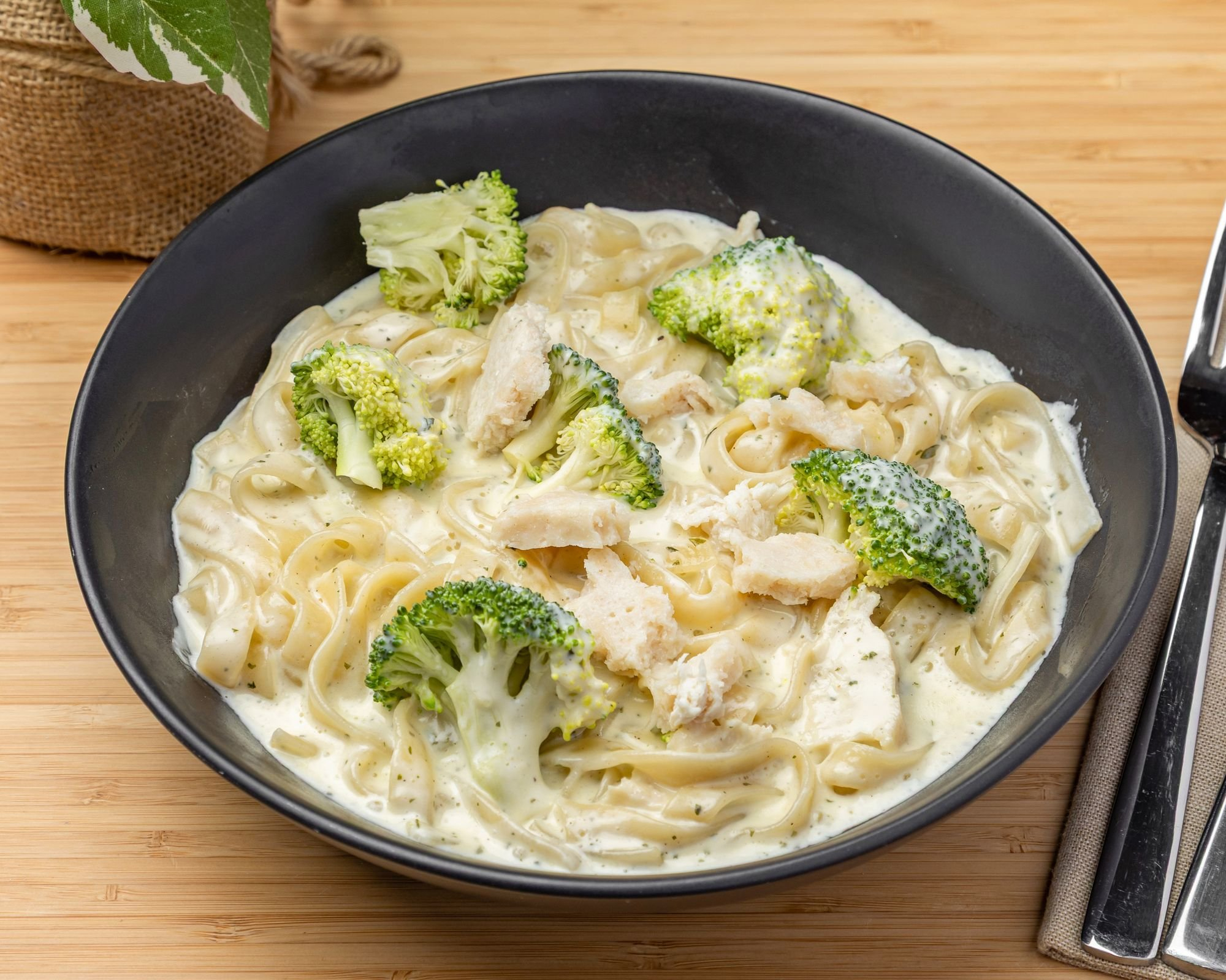CHICKEN & BROCCOLI CREAM PASTA